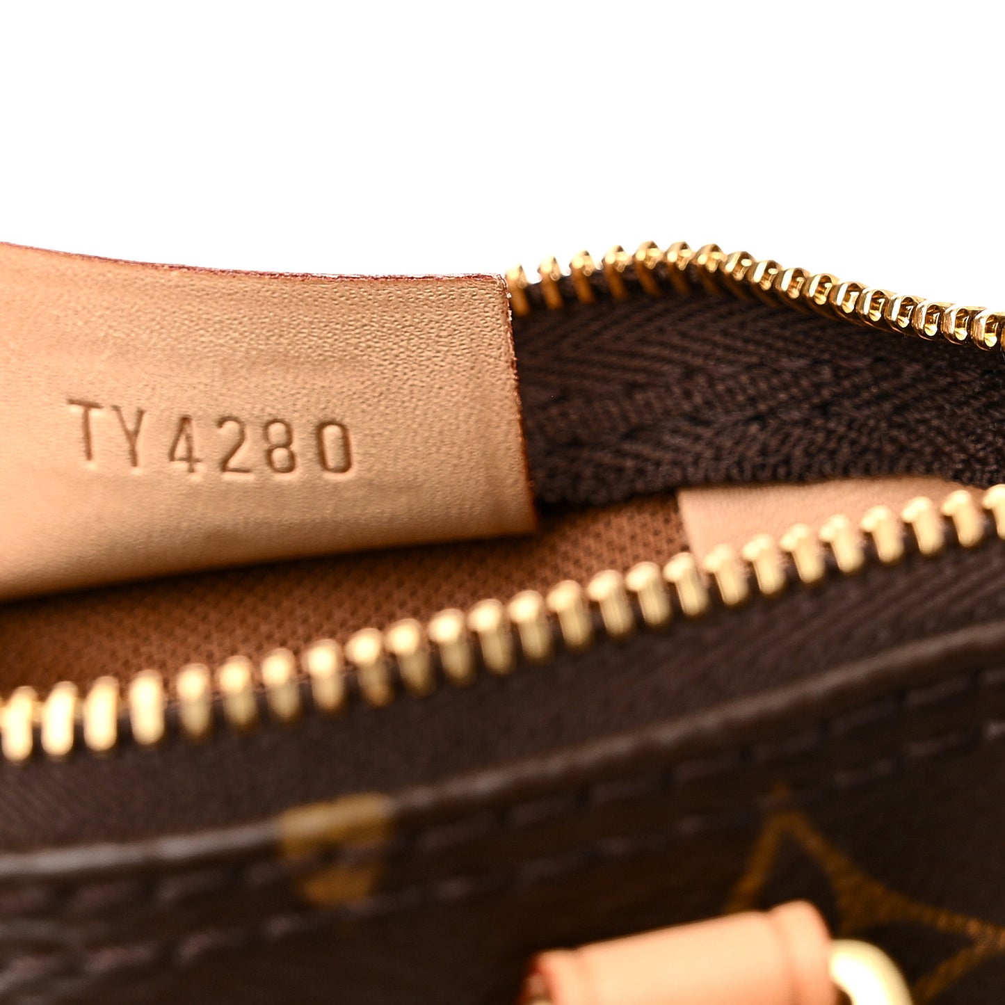 Monogram Nano Speedy