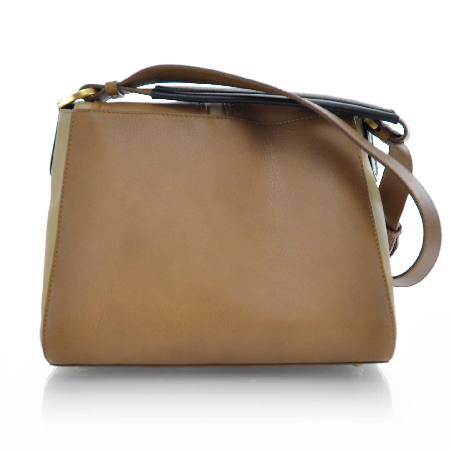 Calfskin Colorblock Chameleon Anna Shoulder Bag