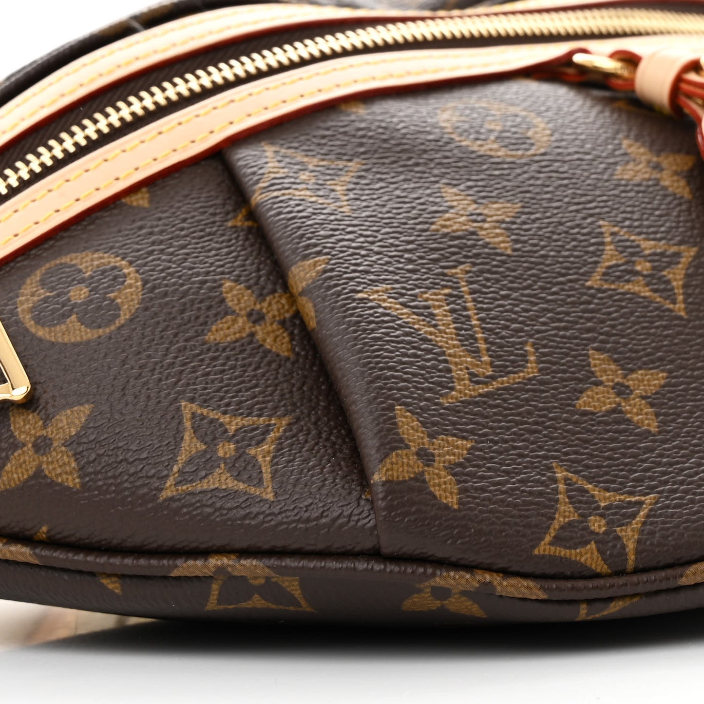 Monogram High Rise Bumbag