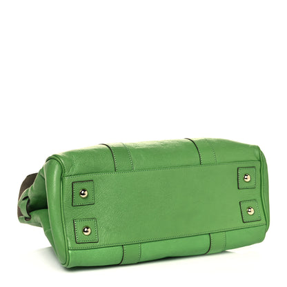 Mulberry Goatskin Bayswater Grass Green 3 of 16