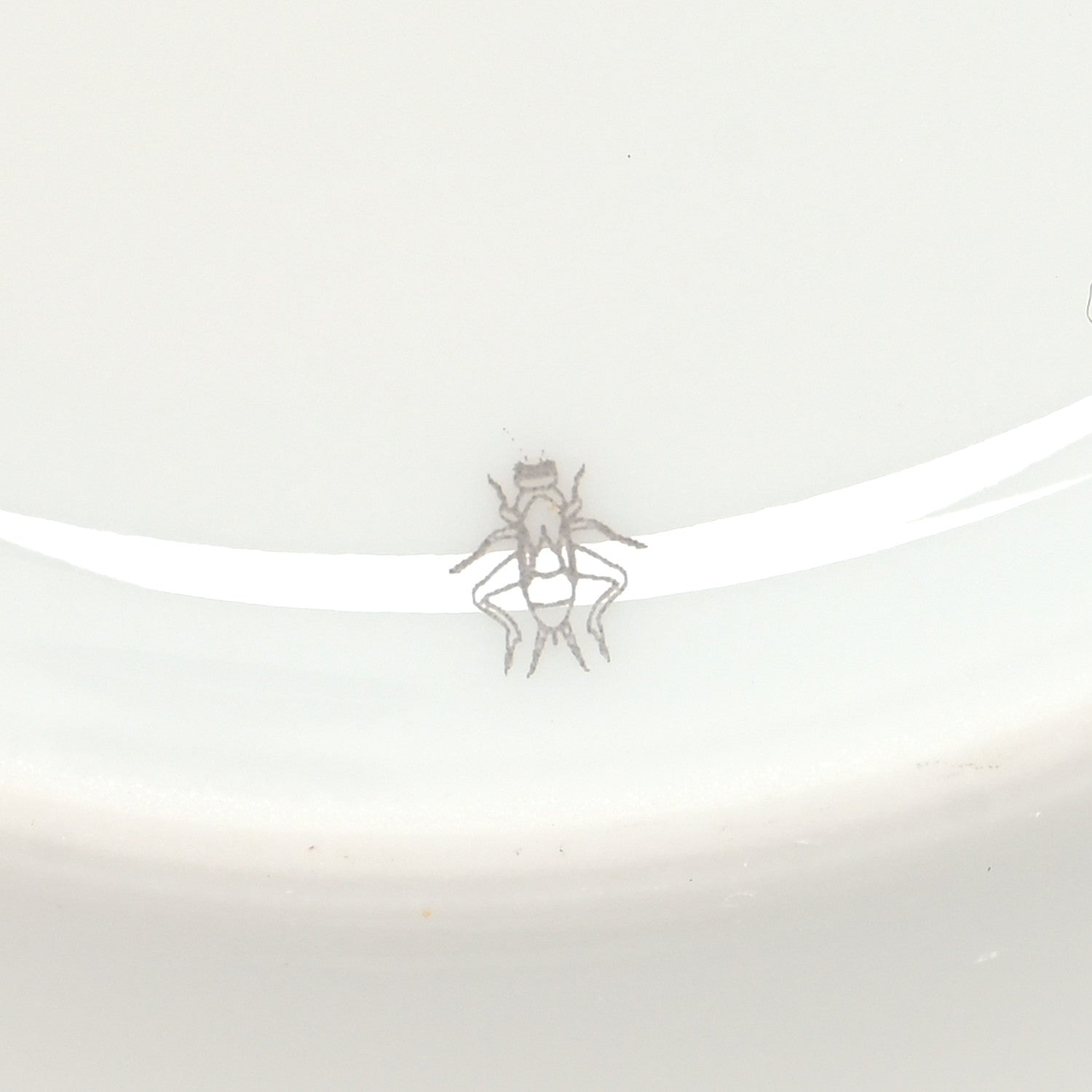 Hermes Porcelain Platinum Chaine d'Ancre Tea Cup and Saucer Set of 2 11 of 13