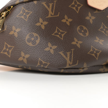 Louis Vuitton Monogram Bumbag 9 of 11