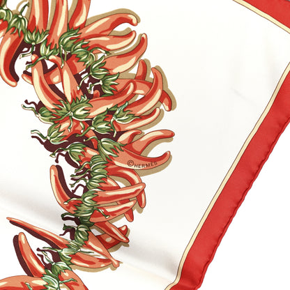 Hermes Silk Aux Pays Des Epices Scarf 90 4 of 5