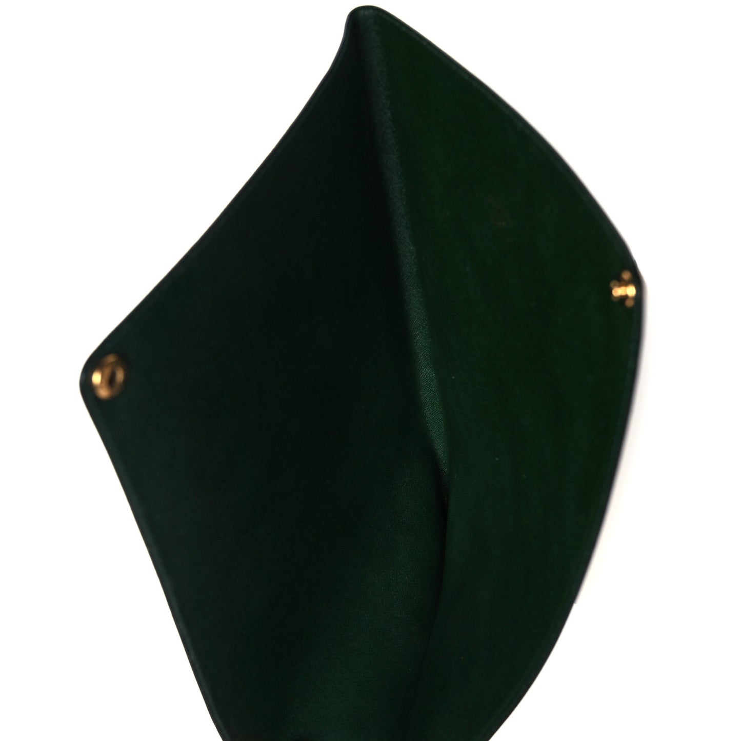 Taiga Document Case Epicea