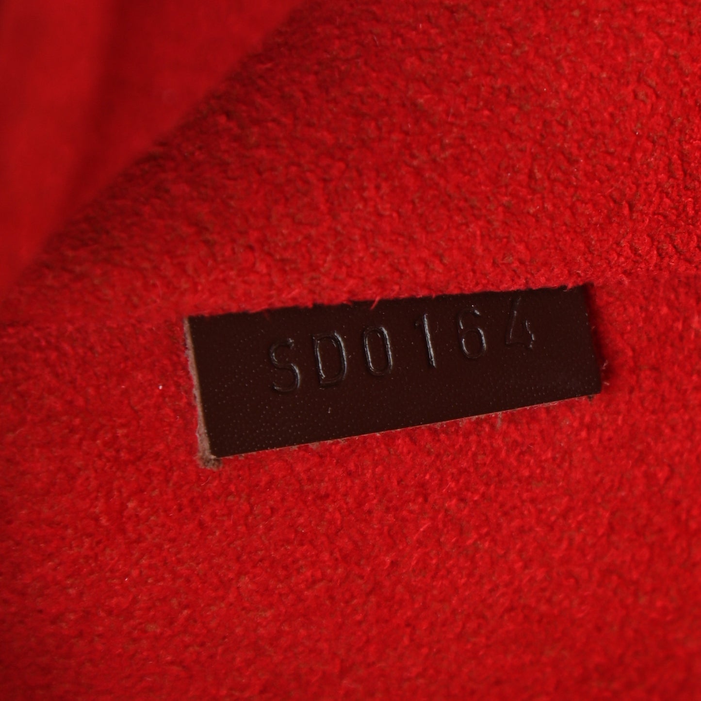 Damier Ebene Evora MM