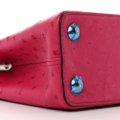 Louis Vuitton Ostrich Capucines BB Berry 9 of 14