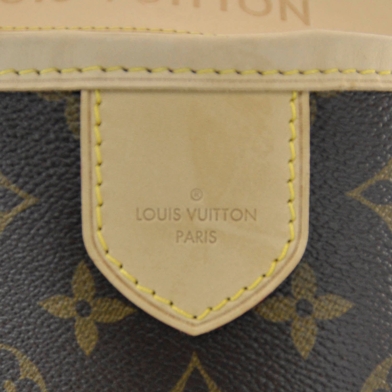 Louis Vuitton Monogram Delightful GM 5 of 8