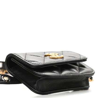 Chanel Goatskin Quilted Flap Waist Belt Bag 4 of 11