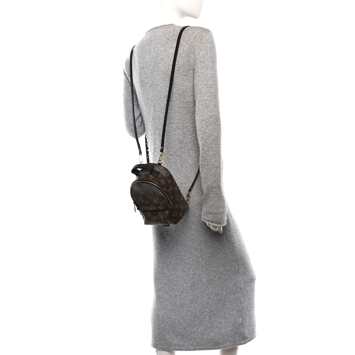 Louis Vuitton Monogram Palm Springs Backpack Mini 2 of 10