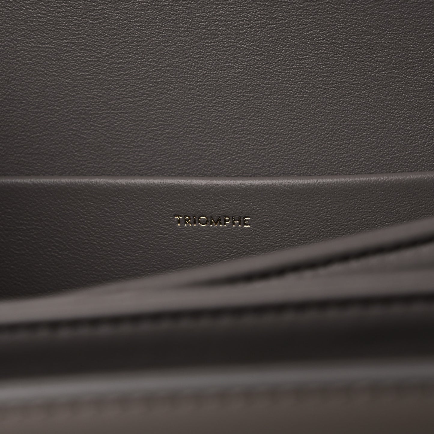 Shiny Calfskin Medium Triomphe Pebble