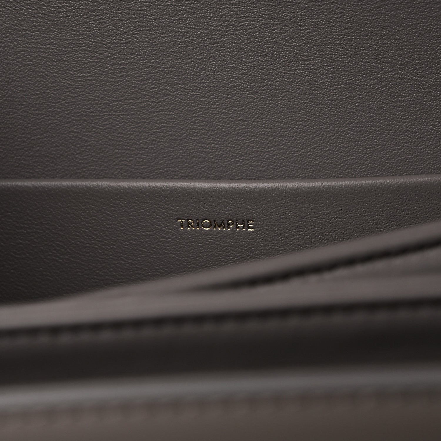 Celine Shiny Calfskin Medium Triomphe Pebble 7 of 9