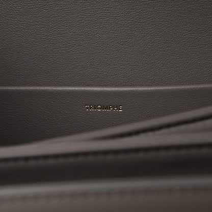 Celine Shiny Calfskin Medium Triomphe Pebble 7 of 9
