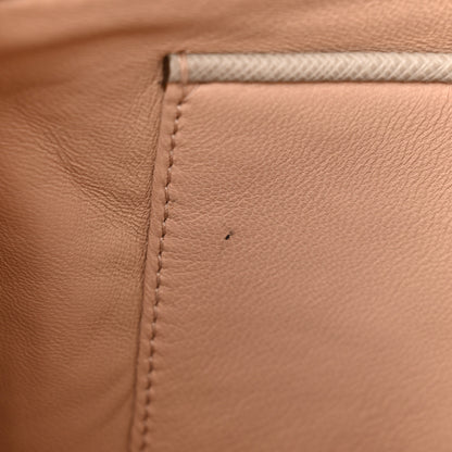 Prada Saffiano Lux Bi-Color Promenade Dome Tote Pomice Argilla 11 of 14
