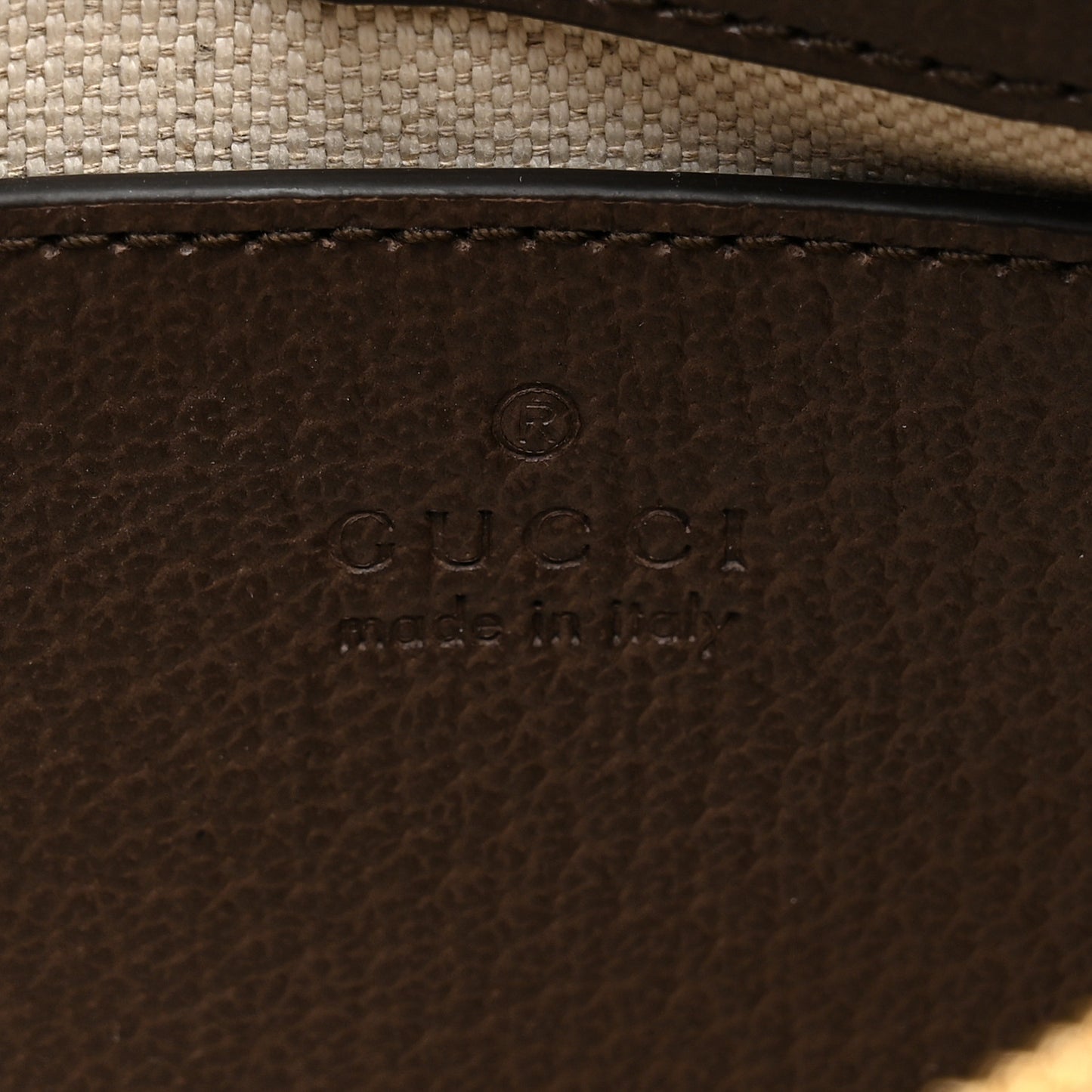 GG Supreme Monogram Textured Dollar Calfskin Web Small Ophidia GG Handbag Beige Ebony New Acero