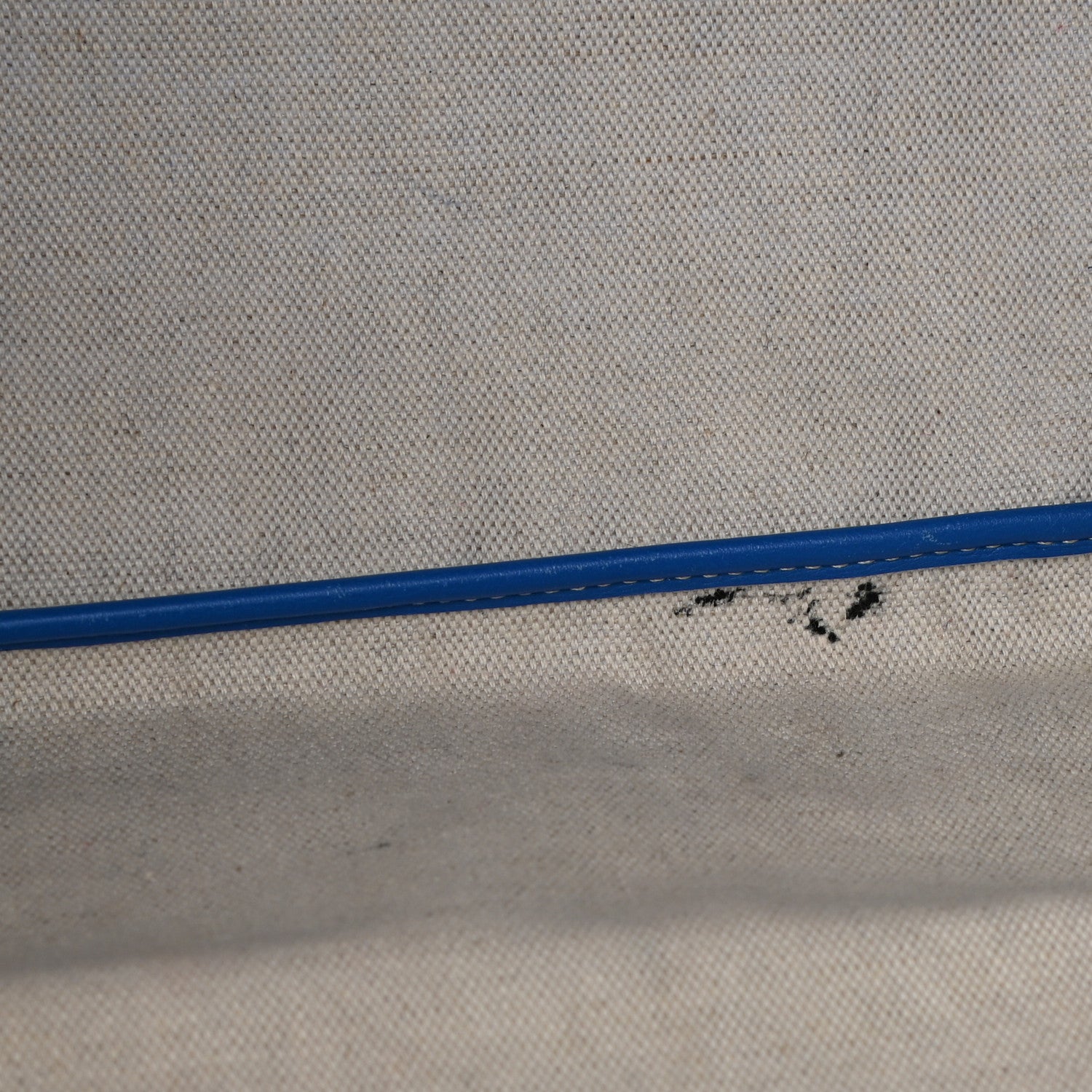 Goyard Goyardine Saint Louis PM Sky Blue 10 of 11