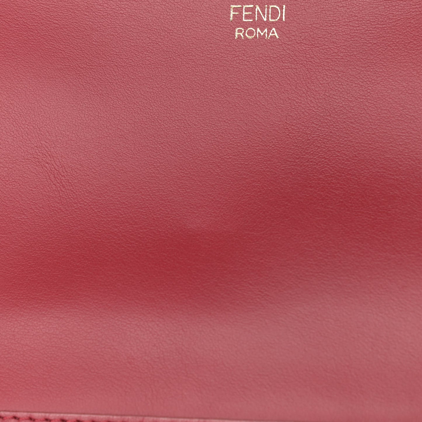 Vitello Century F is Fendi Camera Case Fiamma