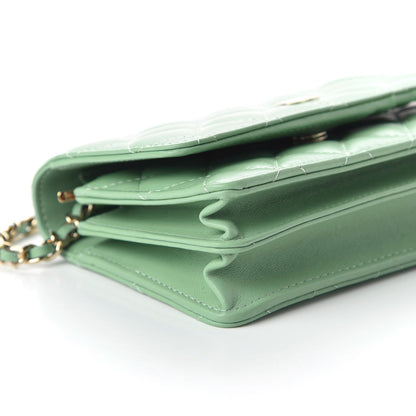 Chanel Lambskin Quilted Mini Wallet On Chain WOC Light Green 6 of 11