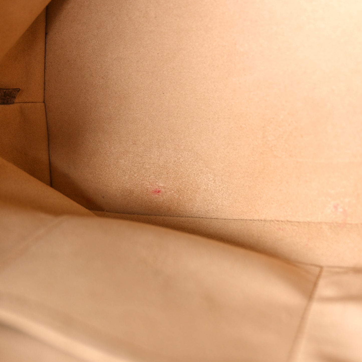 Damier Ebene Jersey Creme