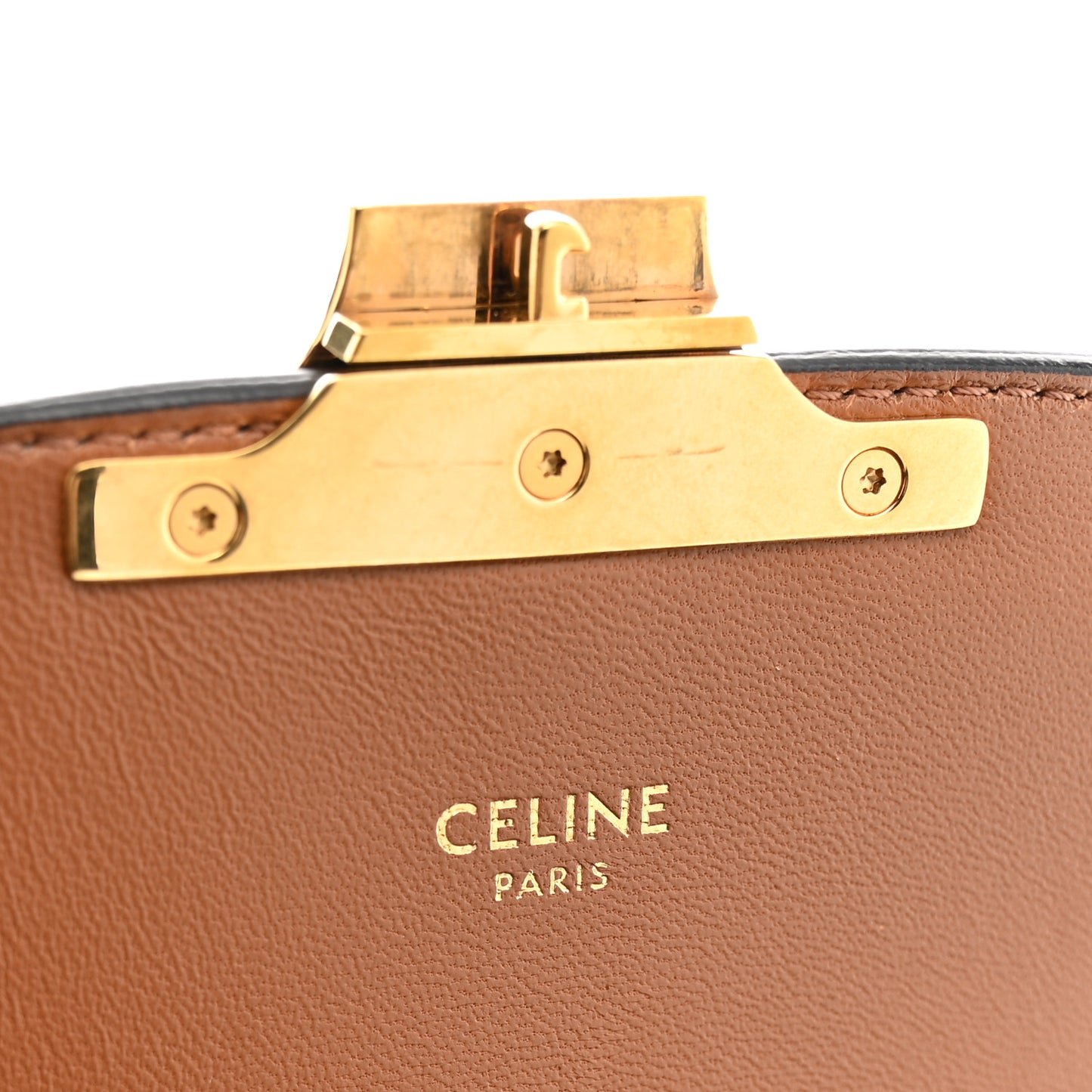 Calfskin Triomphe Canvas Teen Triomphe Bag Tan
