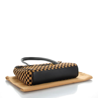 Louis Vuitton Damier Calf Hair Sauvage Lionne 4 of 7