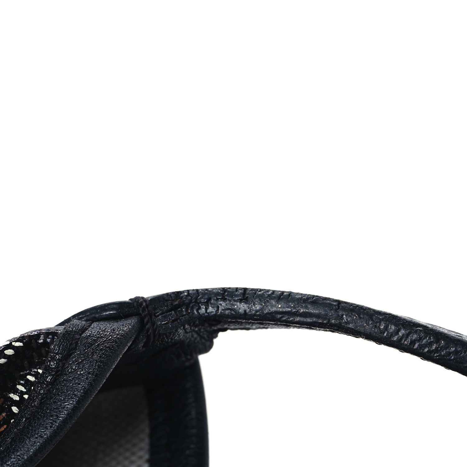 Goyard Goyardine Saint Louis GM Black 12 of 12