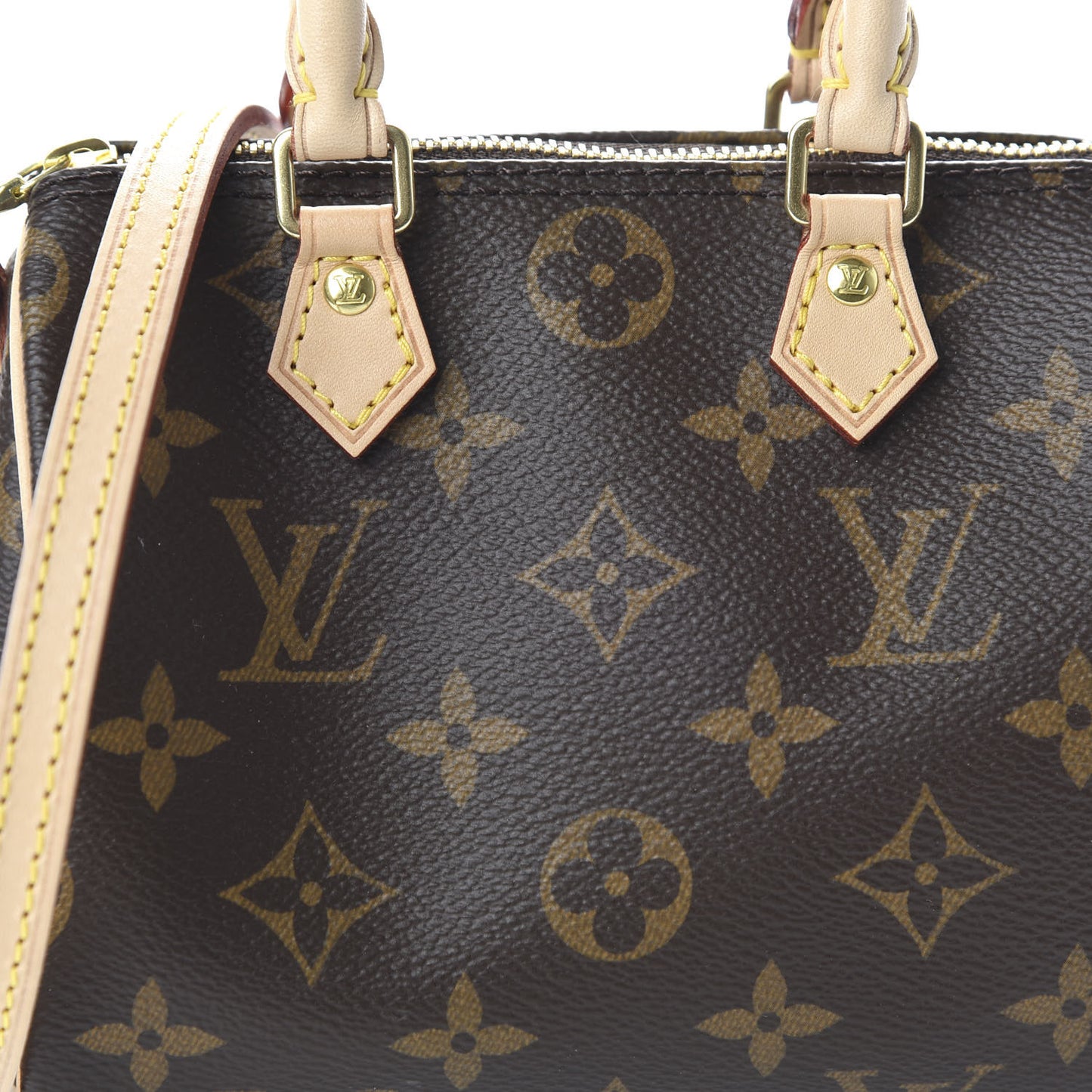 Monogram Nano Speedy