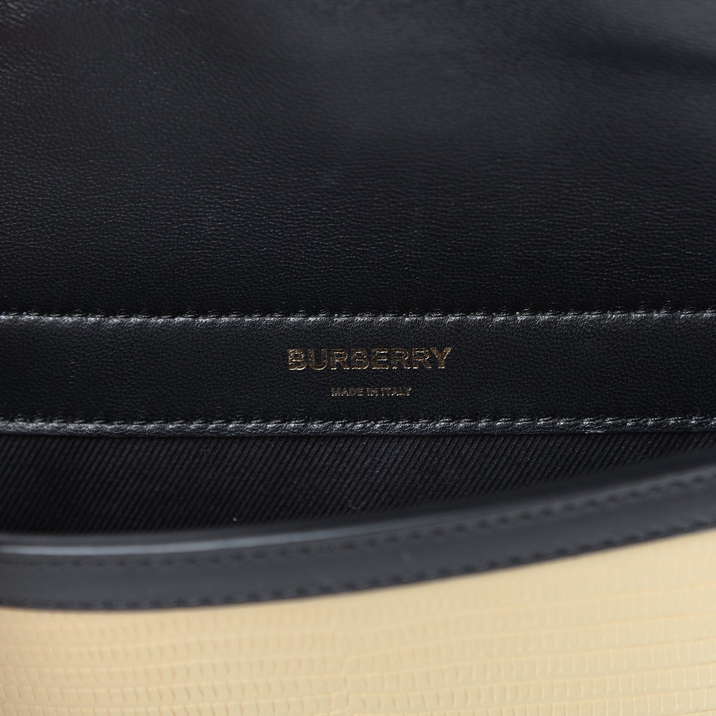 Calfskin Lizard Embossed Mini Title Bag with Pocket Black Honey