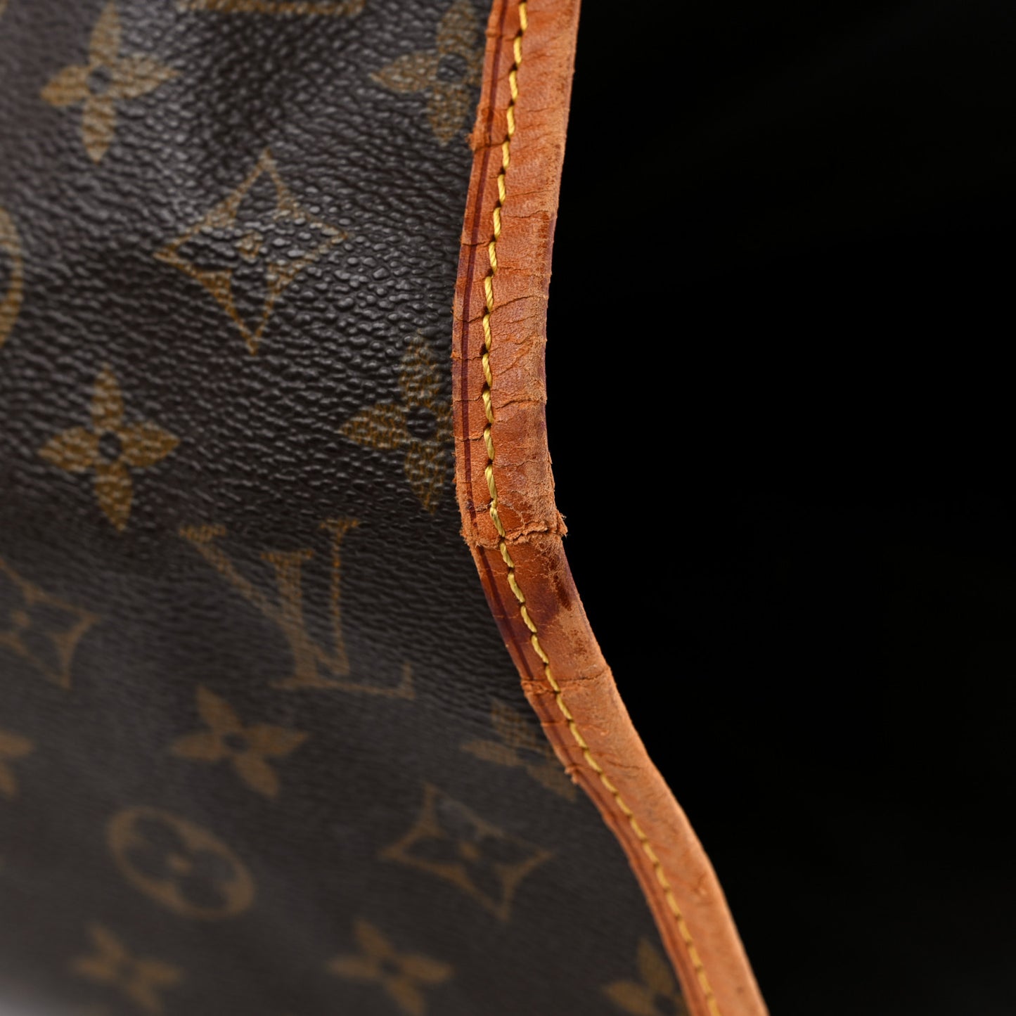 Monogram Garment Bag
