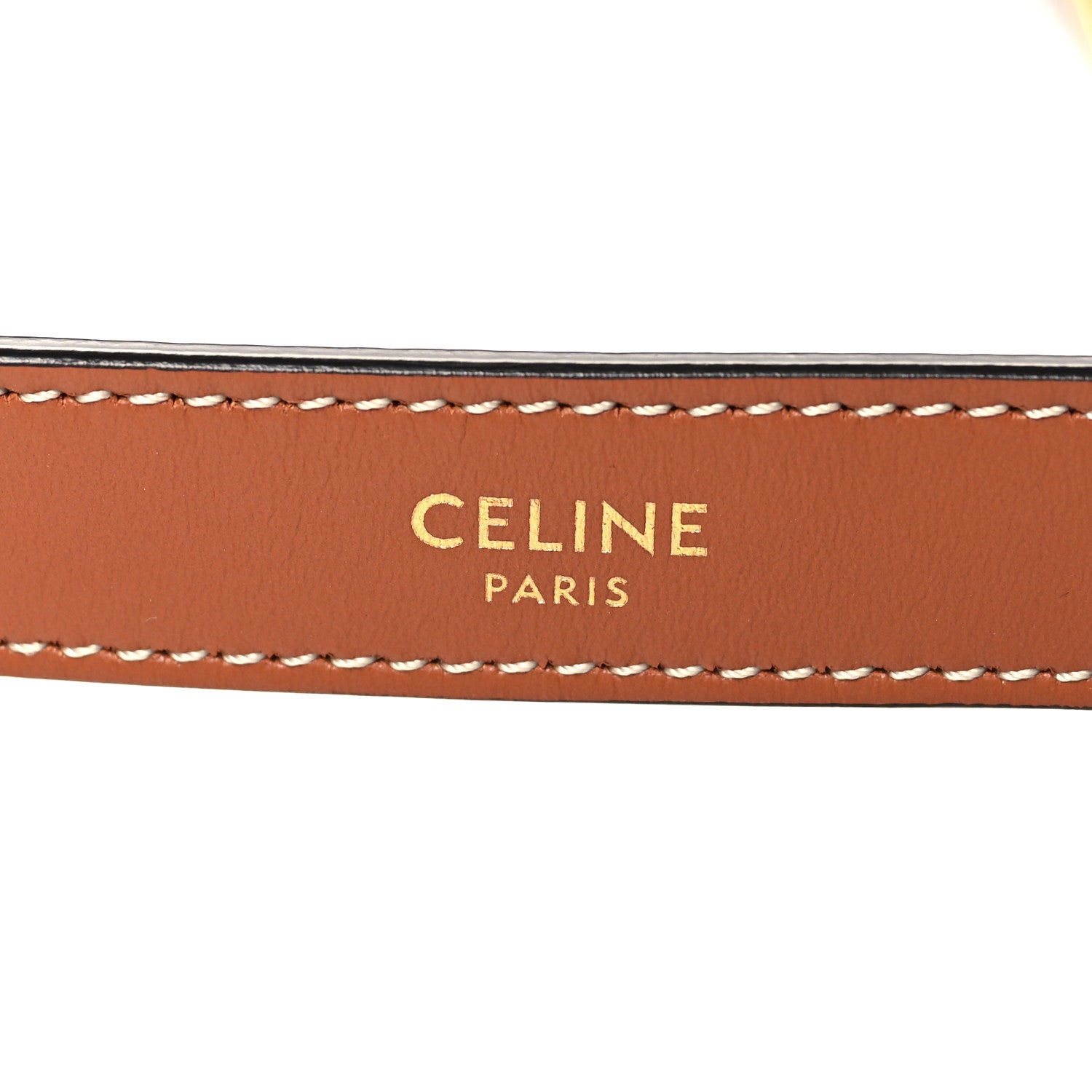 Celine Triomphe Canvas Calfskin Ava Shoulder Bag Tan 6 of 10