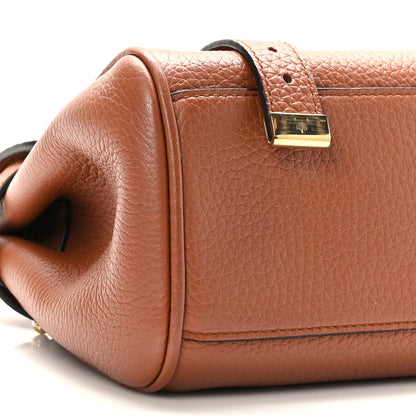 Mulberry Heavy Grain Mini Alexa Chestnut 8 of 8