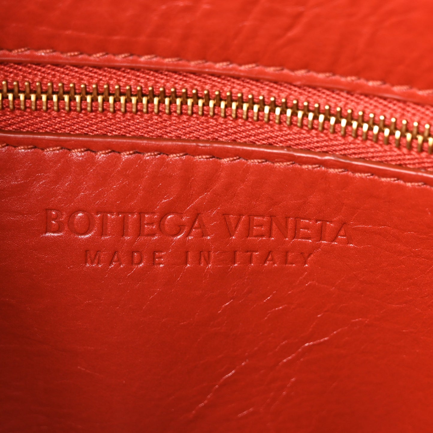 Calfskin Intreccio Plisse Camera Bag Syrup