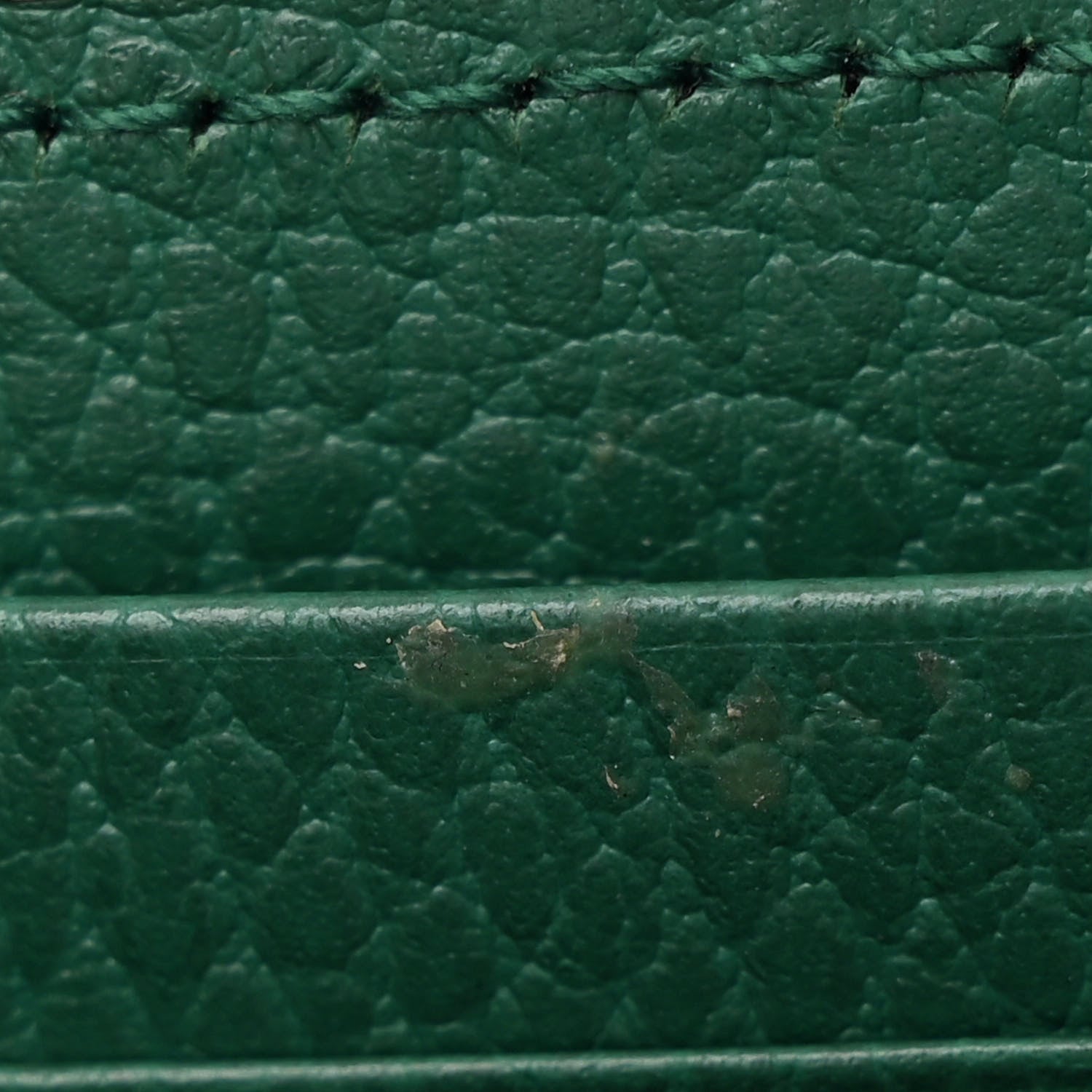 Gucci Calfskin Mini Dionysus Chain Wallet Emerald 13 of 13