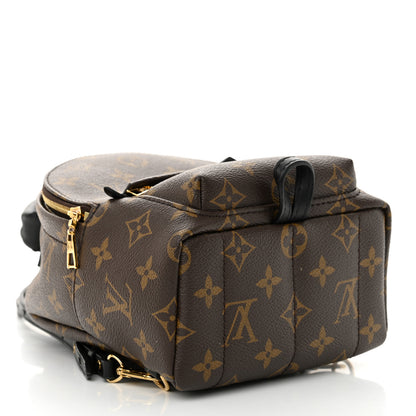 Louis Vuitton Monogram Palm Springs Backpack Mini 4 of 14