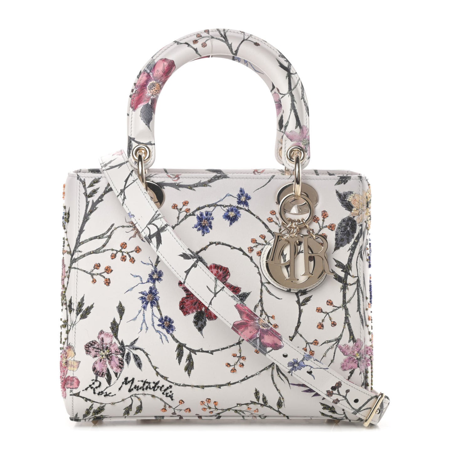 Calfskin Rosa Mutabilis Embroidered Medium Lady Dior White Multicolor