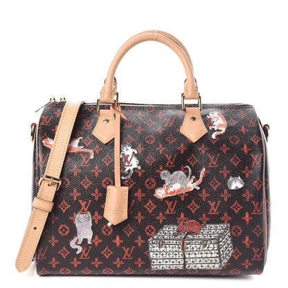 Louis Vuitton Catogram Speedy Bandouliere 30 Marron 1 of 10