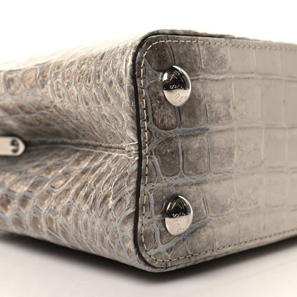 Louis Vuitton Himalaya Crocodile BB Capucines 8 of 9