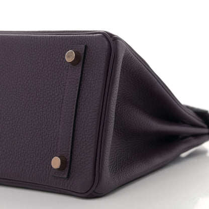 Hermes Togo Matte Alligator Birkin Touch 25 Raisin 10 of 11