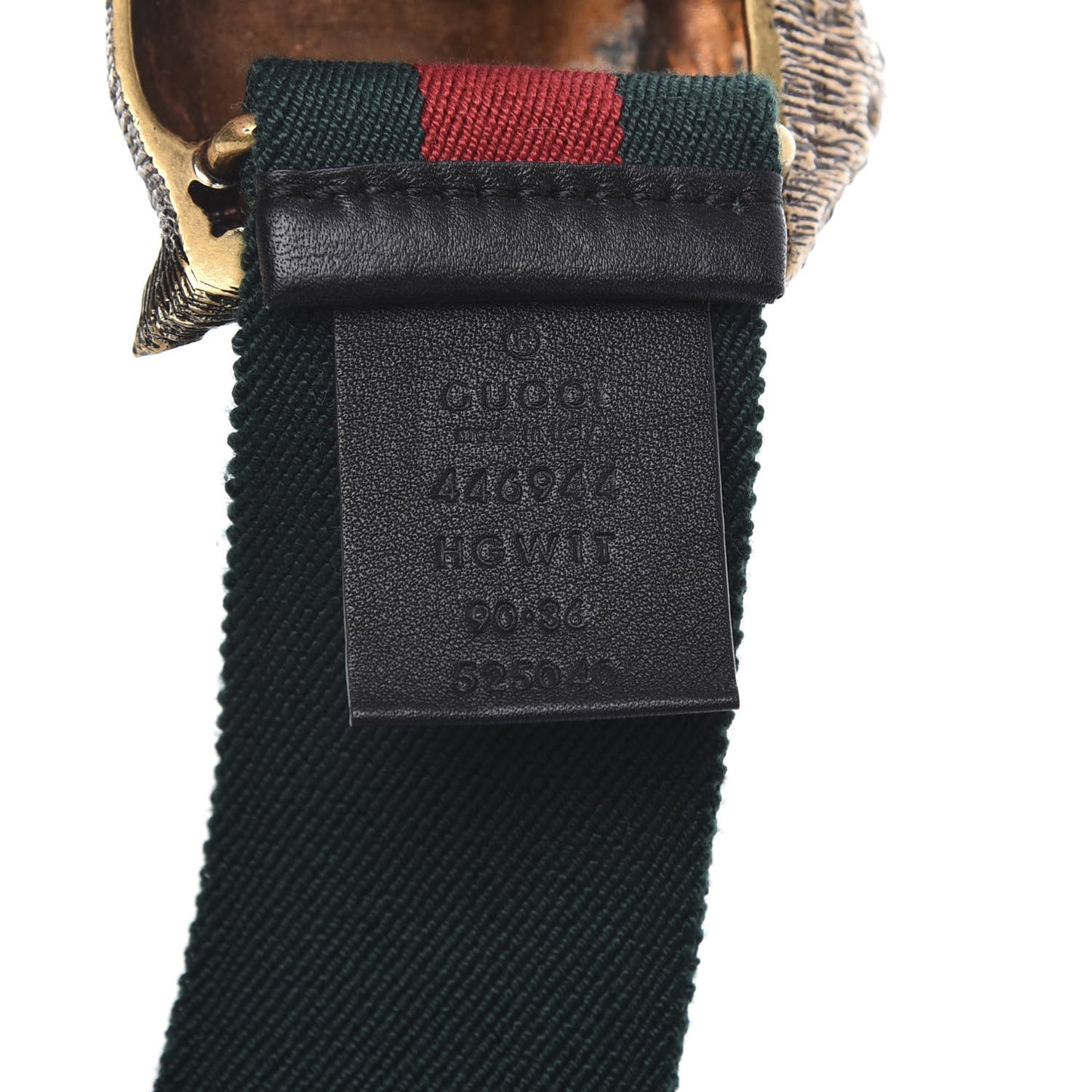 Web Feline Buckle Belt 90 36 Green Red
