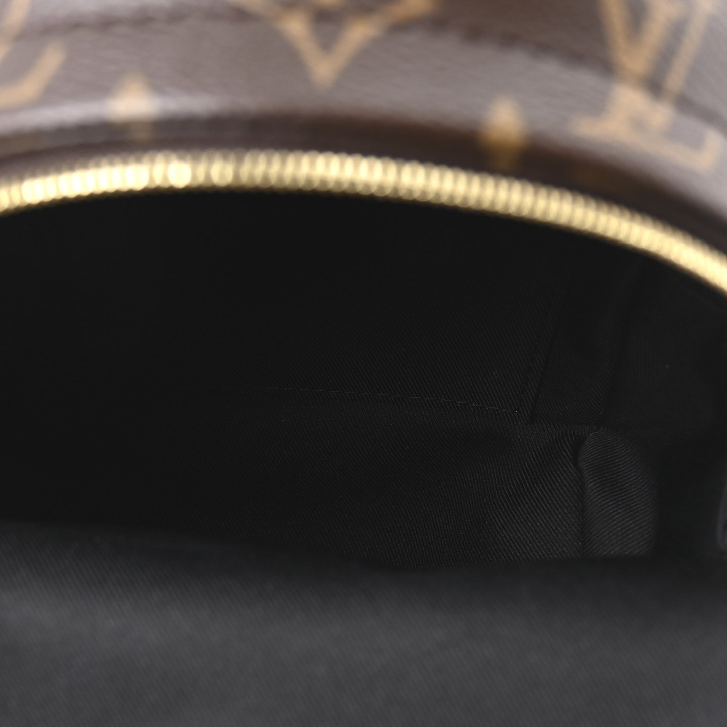 Monogram Palm Springs Backpack Mini