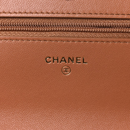 Chanel Lambskin Quilted Chanel 19 Wallet On Chain WOC Brown 6 of 11