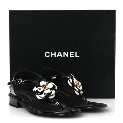 Chanel Patent Calfskin Camellia Thong Sandals 37 Black White 14 of 14