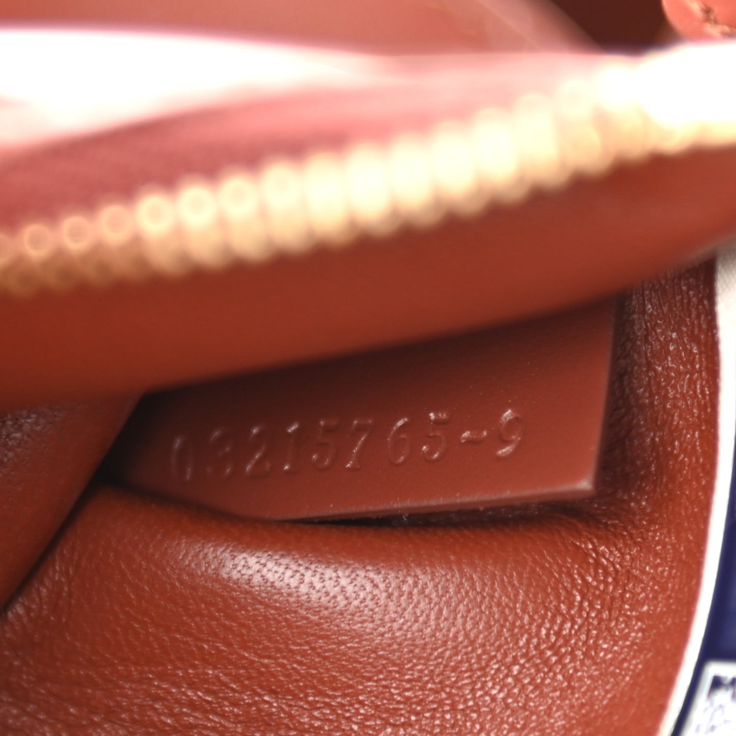 Smooth Grained Calfskin Small Tulip Bucket Bag Sepia Brown