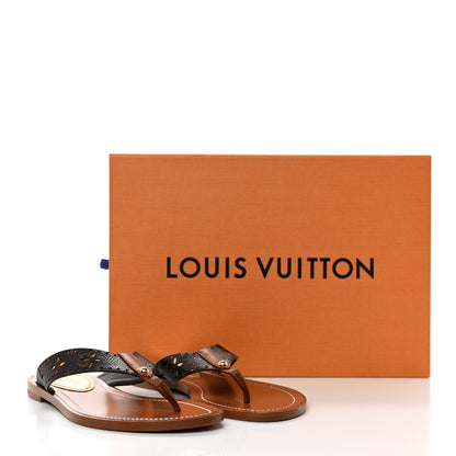 Louis Vuitton Monogram Sunny Flat Thong Sandals 35 Brown 11 of 11