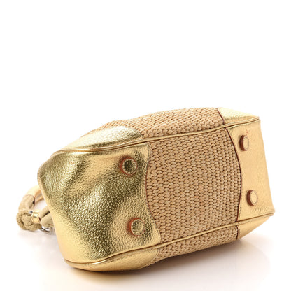 Prada Paglia Cinghiale Frame Satchel Naturale Oro 4 of 12