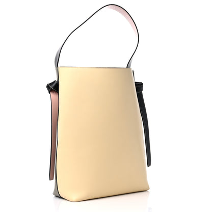 Celine Shiny Smooth Calfskin Small Twisted Cabas Light Khaki Cream 3 of 13