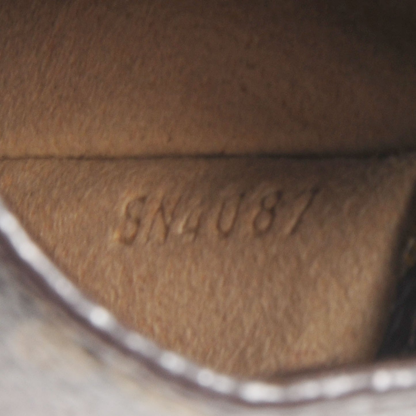 Monogram Sunglasses Case PM