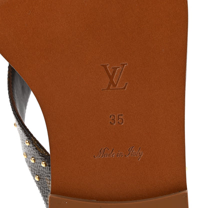 Louis Vuitton Monogram Sunny Flat Thong Sandals 35 Brown 7 of 10