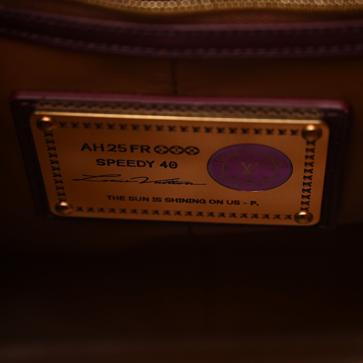 Louis Vuitton Satin Monogram Paris Tokyo Embroidered Speedy P9