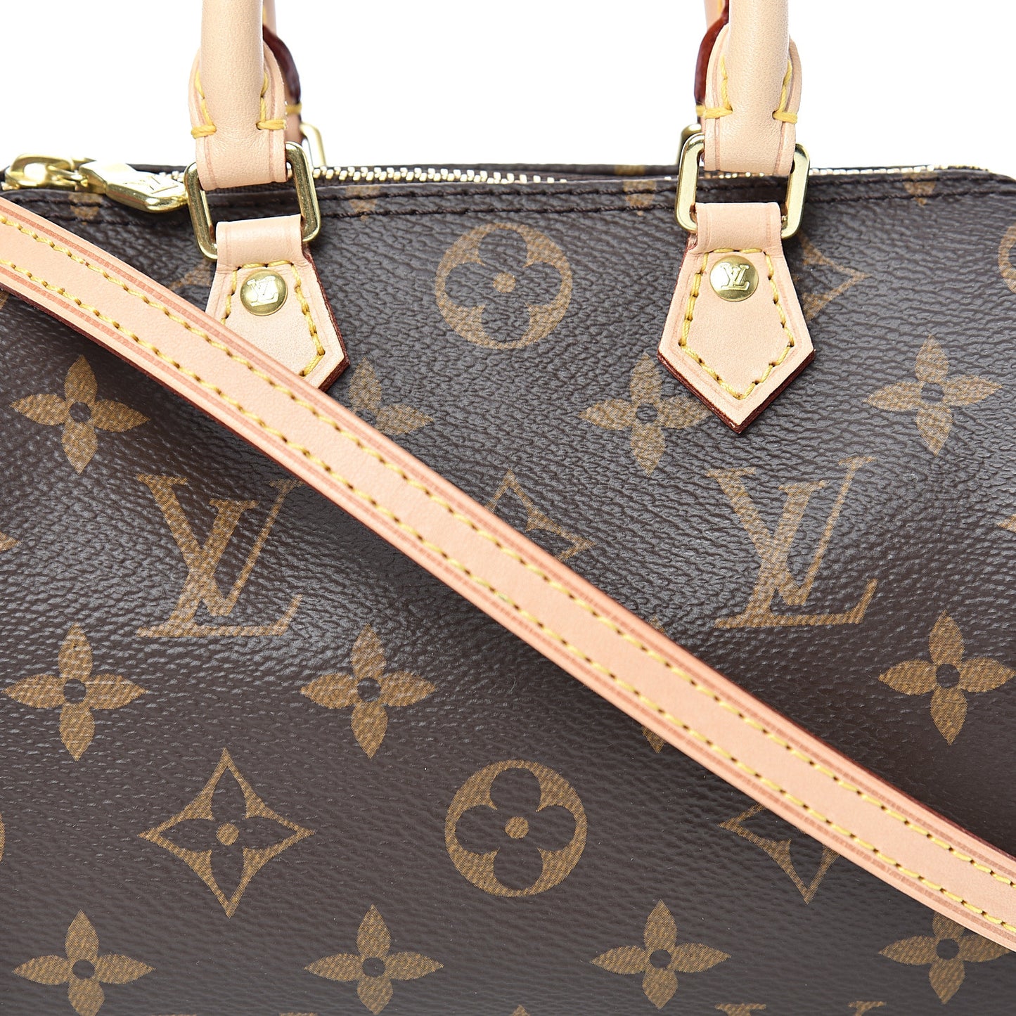 Monogram Nano Speedy