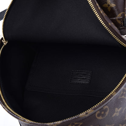Louis Vuitton Monogram Palm Springs Backpack PM 5 of 6